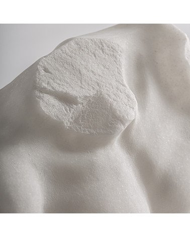 Busto