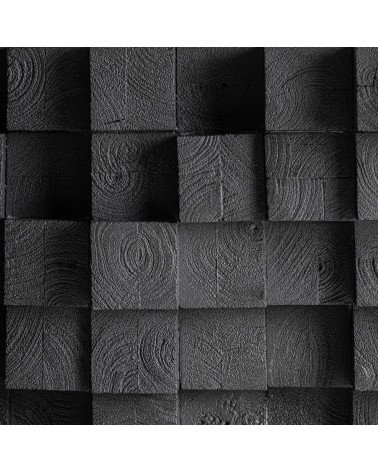 Mesa de centro pètria