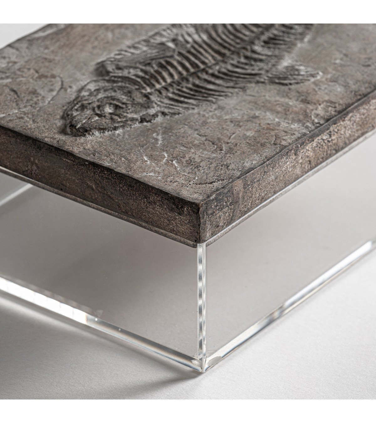 Caja