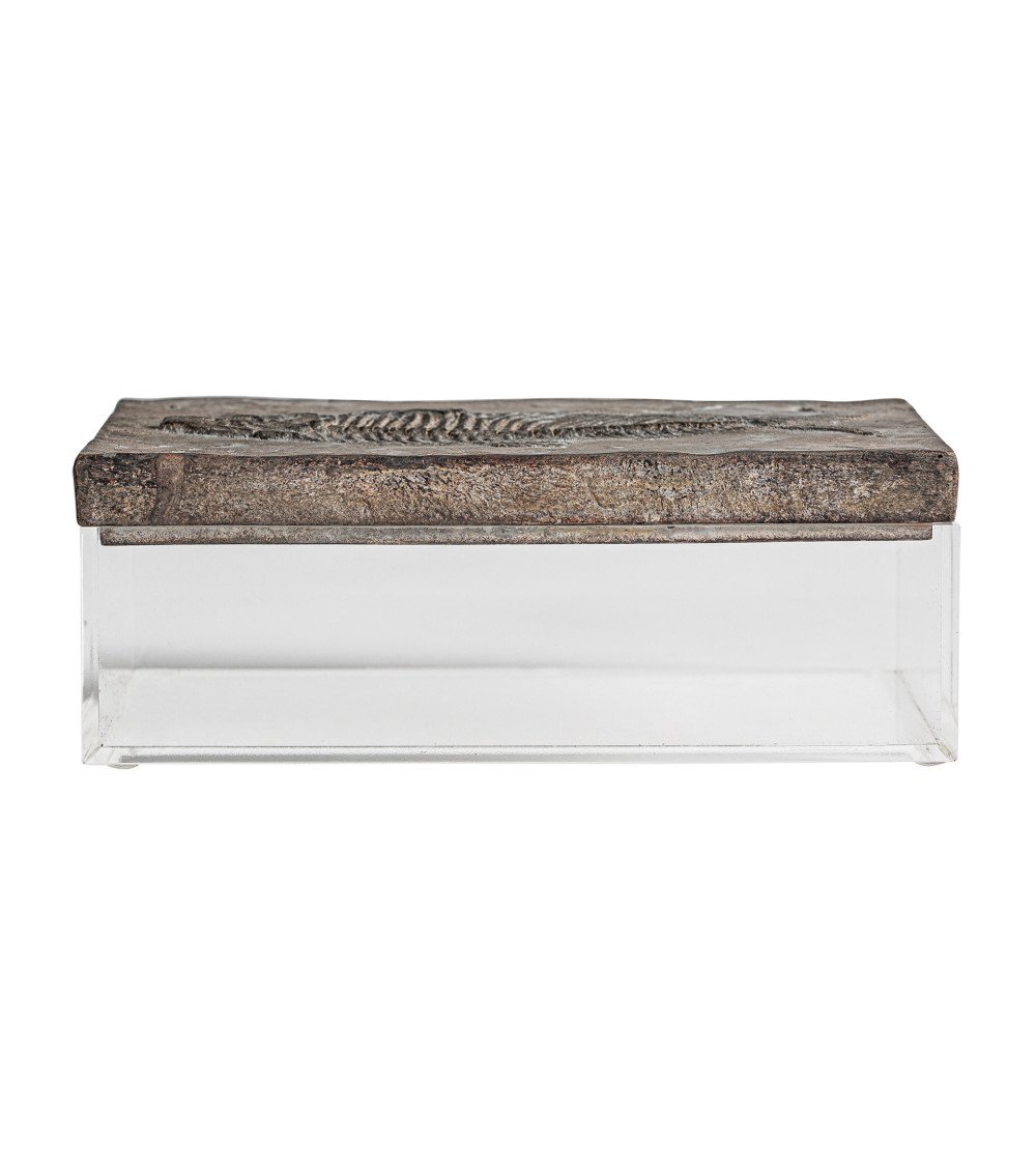 Caja