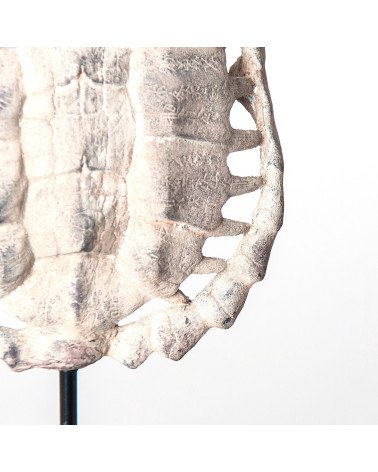 Escultura caparazón tortuga