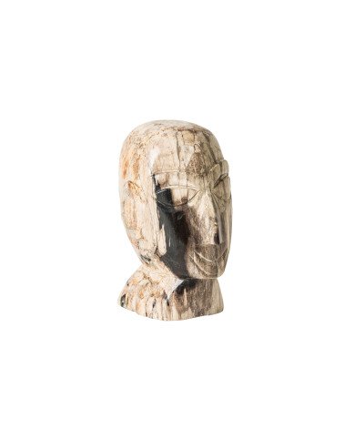 Busto belle