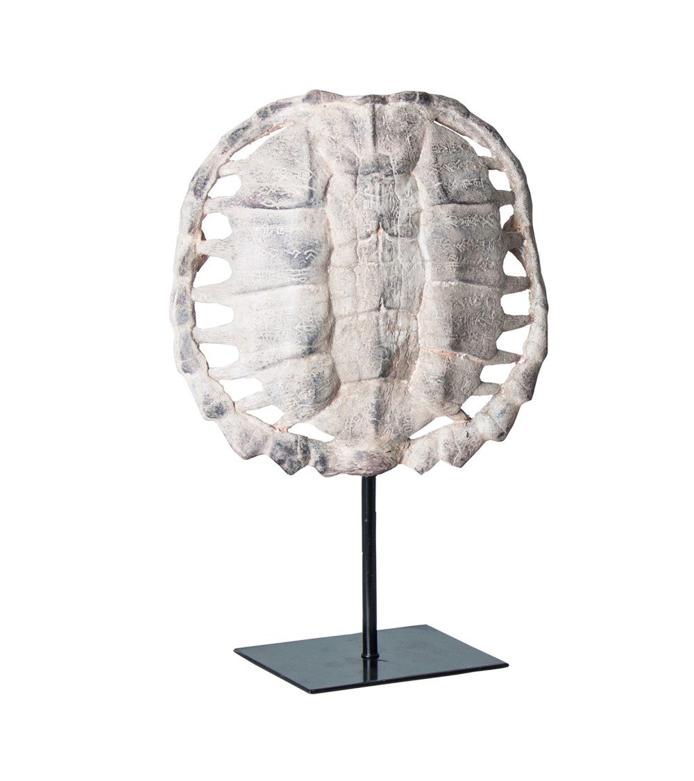 Escultura caparazón tortuga