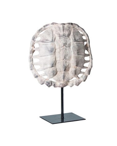 Escultura caparazón tortuga
