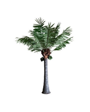 Planta palmera