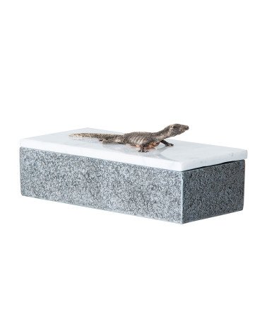 Caja lagarto
