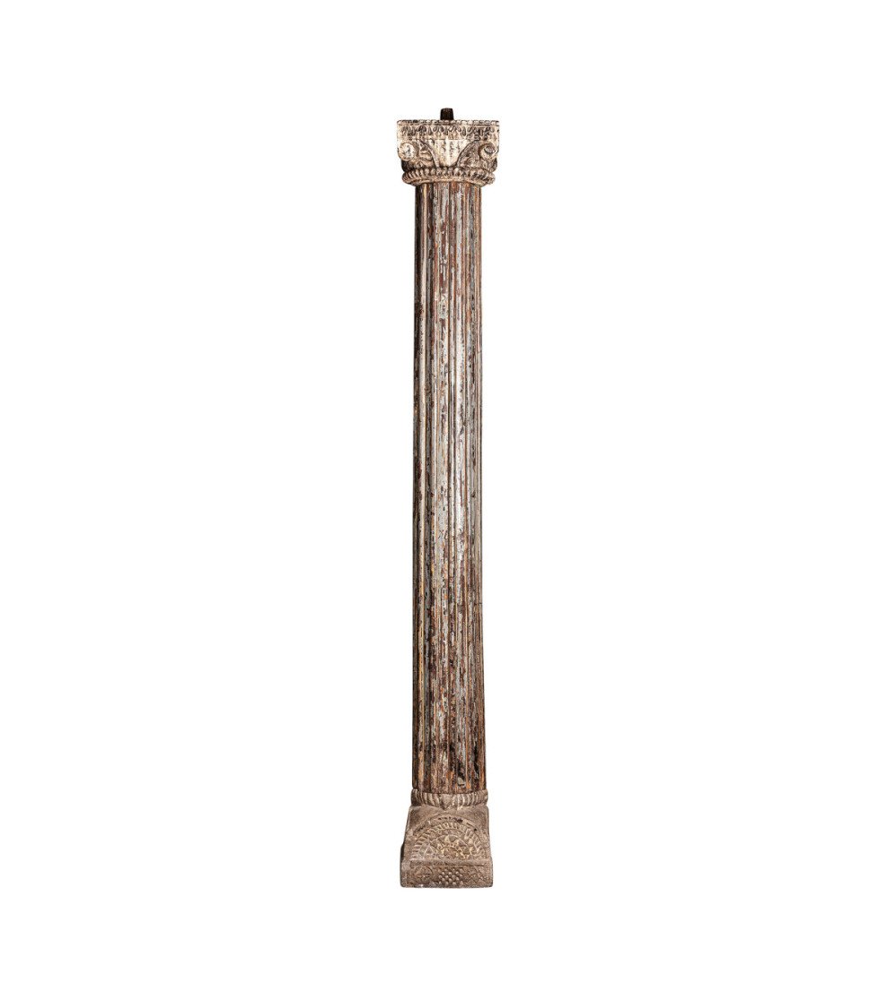 Columna hallie