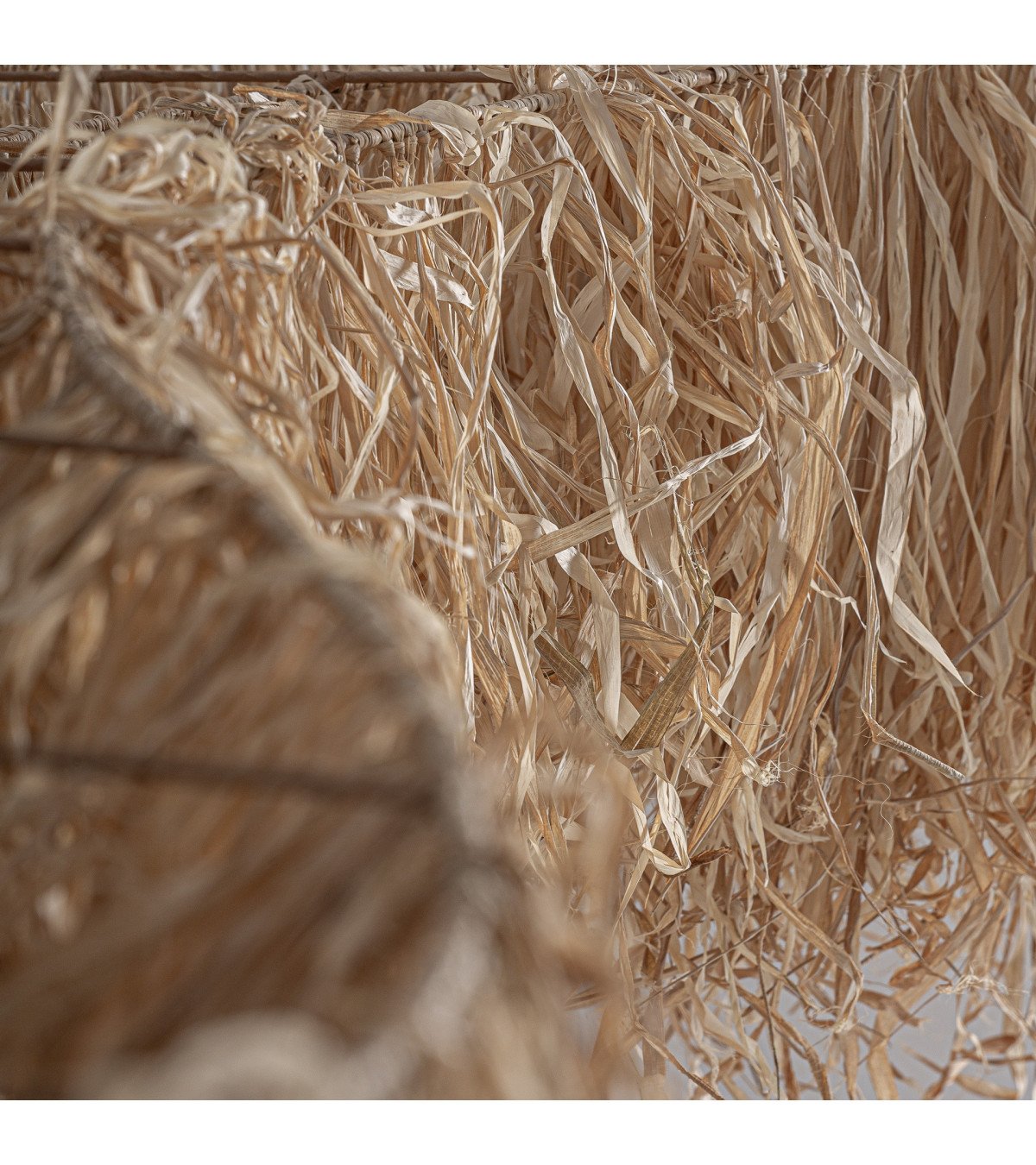 Panel decorativo ceiling