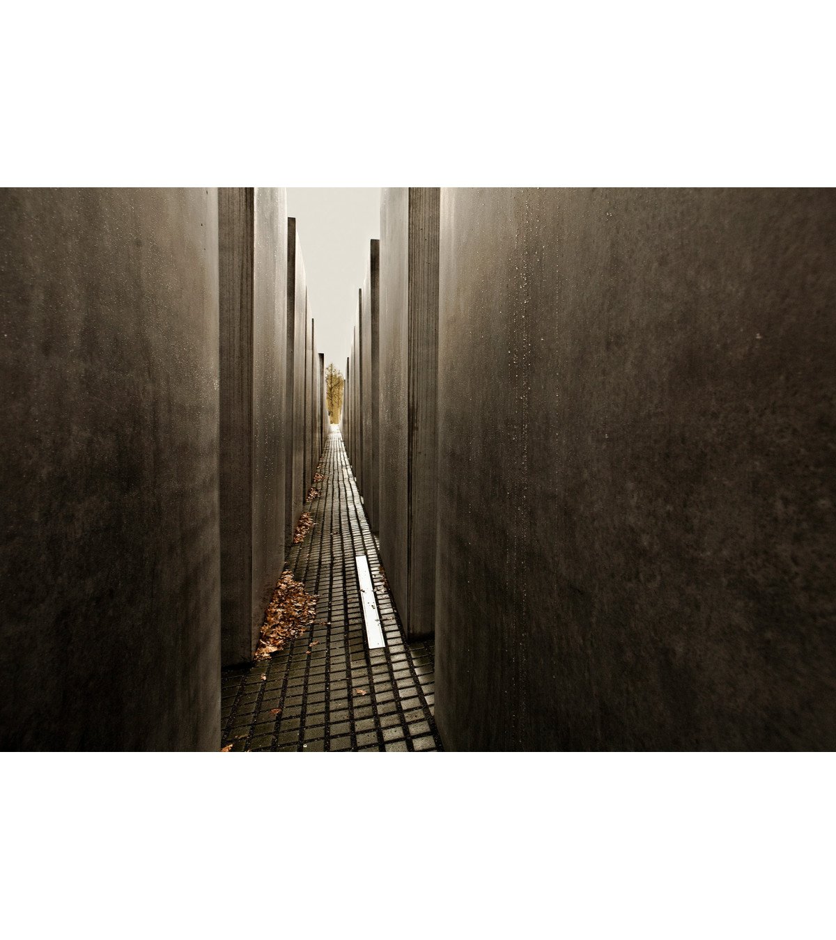 FOTOGRAFÍA BERLÍN 4