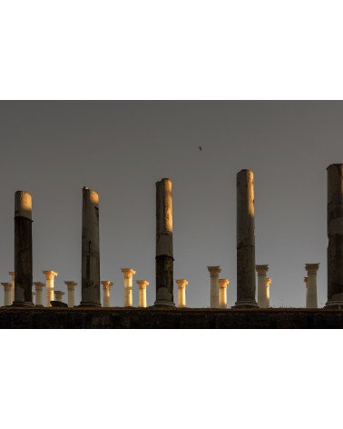 FOTOGRAFÍA ITALIA 4