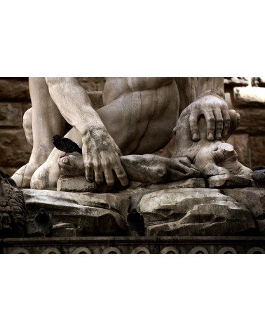 FOTOGRAFÍA PIEDRA 7