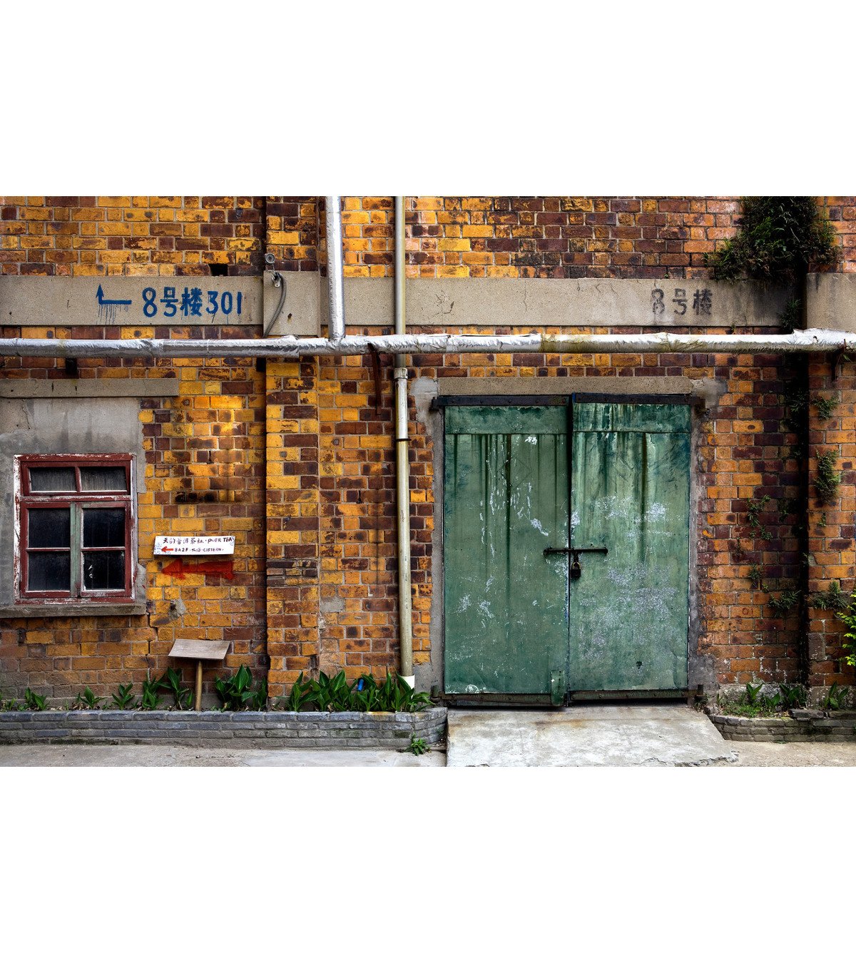 FOTOGRAFÍA Shanghai 6