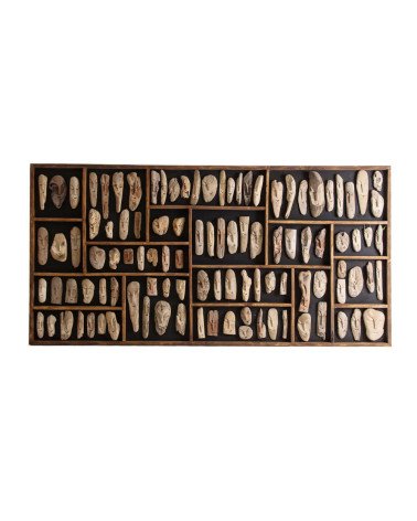 Panel decorativo fósiles