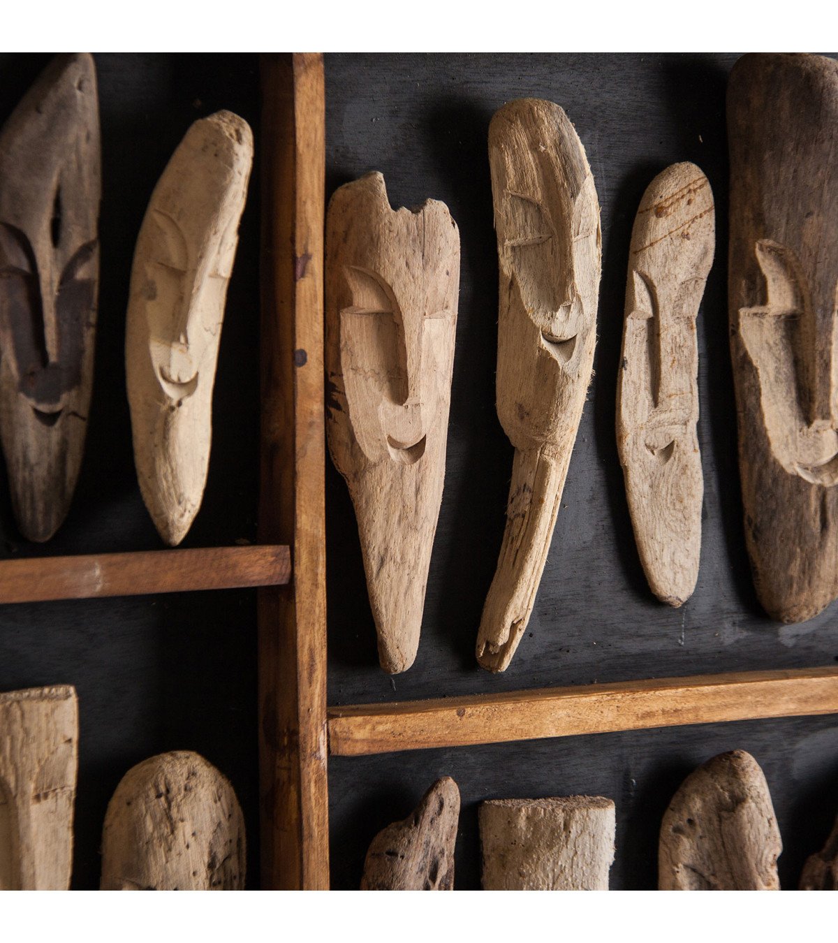 Panel decorativo fósiles