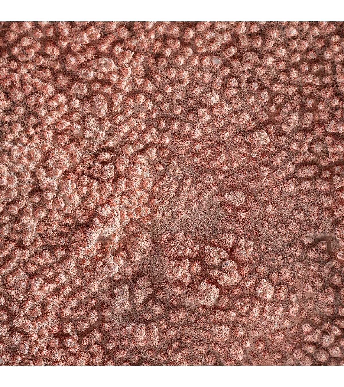 Figura decorativa sakan