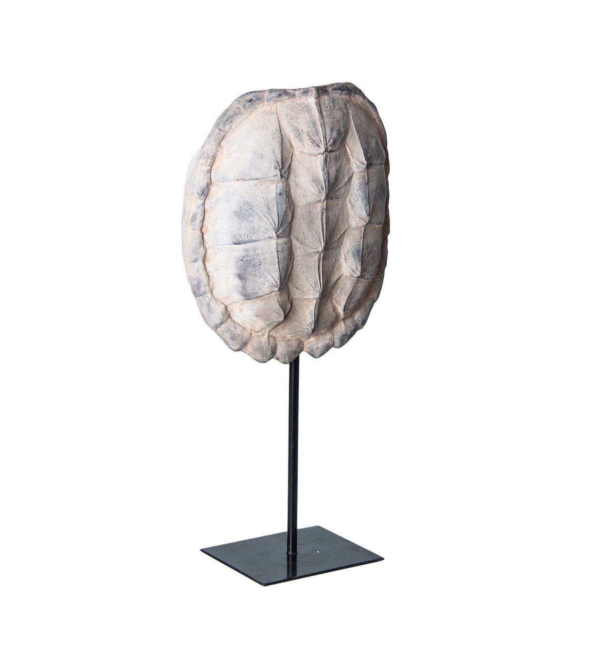 Figura decorativa caparazón tortuga