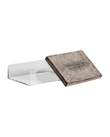 Caja