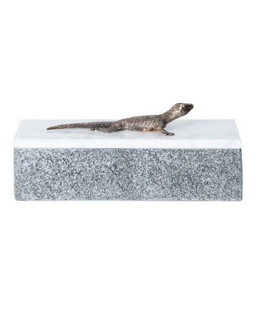 Caja lagarto